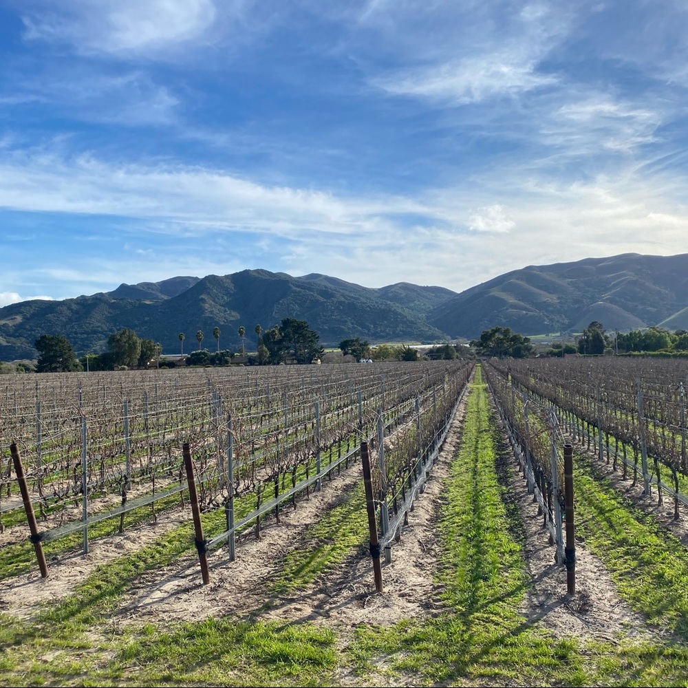 Meet your Posher, Courtney